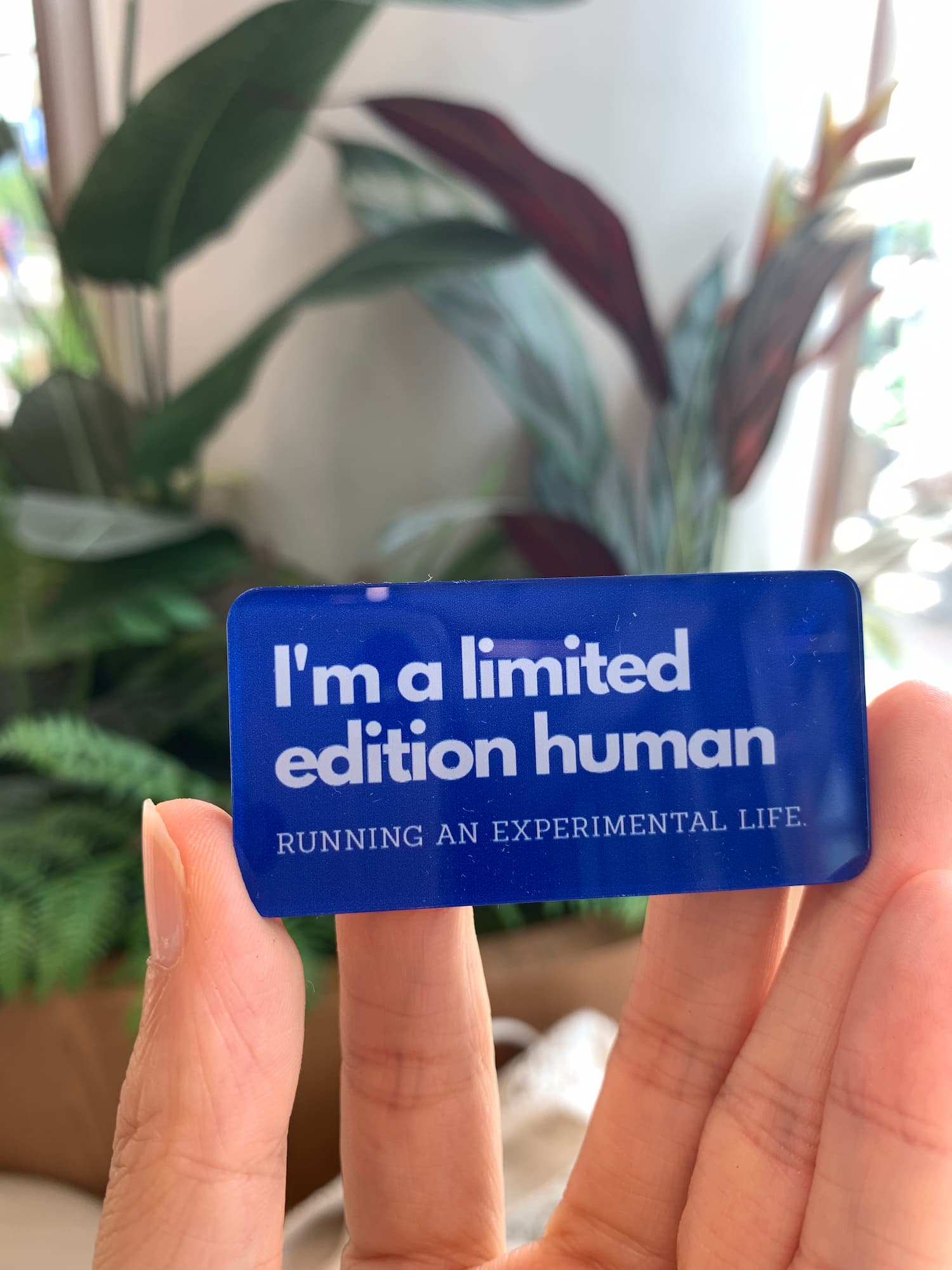 I'm a limited edition human acrylic magnets