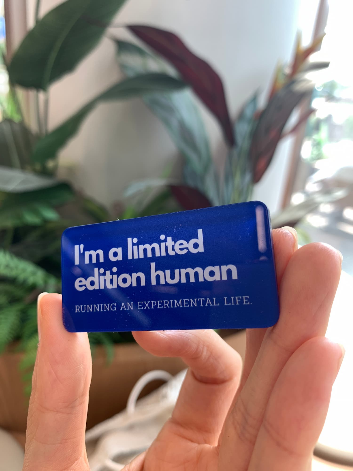I'm a limited edition human acrylic magnets
